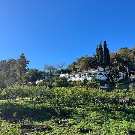 Finca Los Arcos Del Laurel Moya  Exterior photo