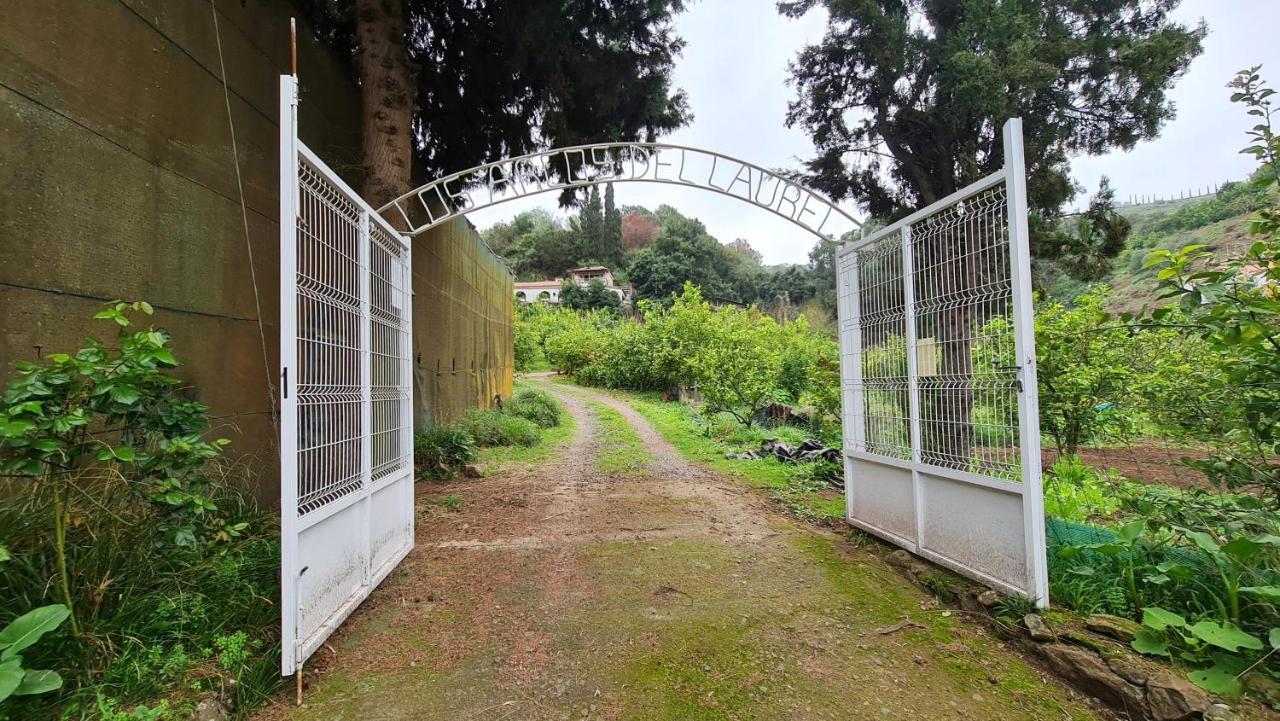 Finca Los Arcos Del Laurel Moya  Exterior photo