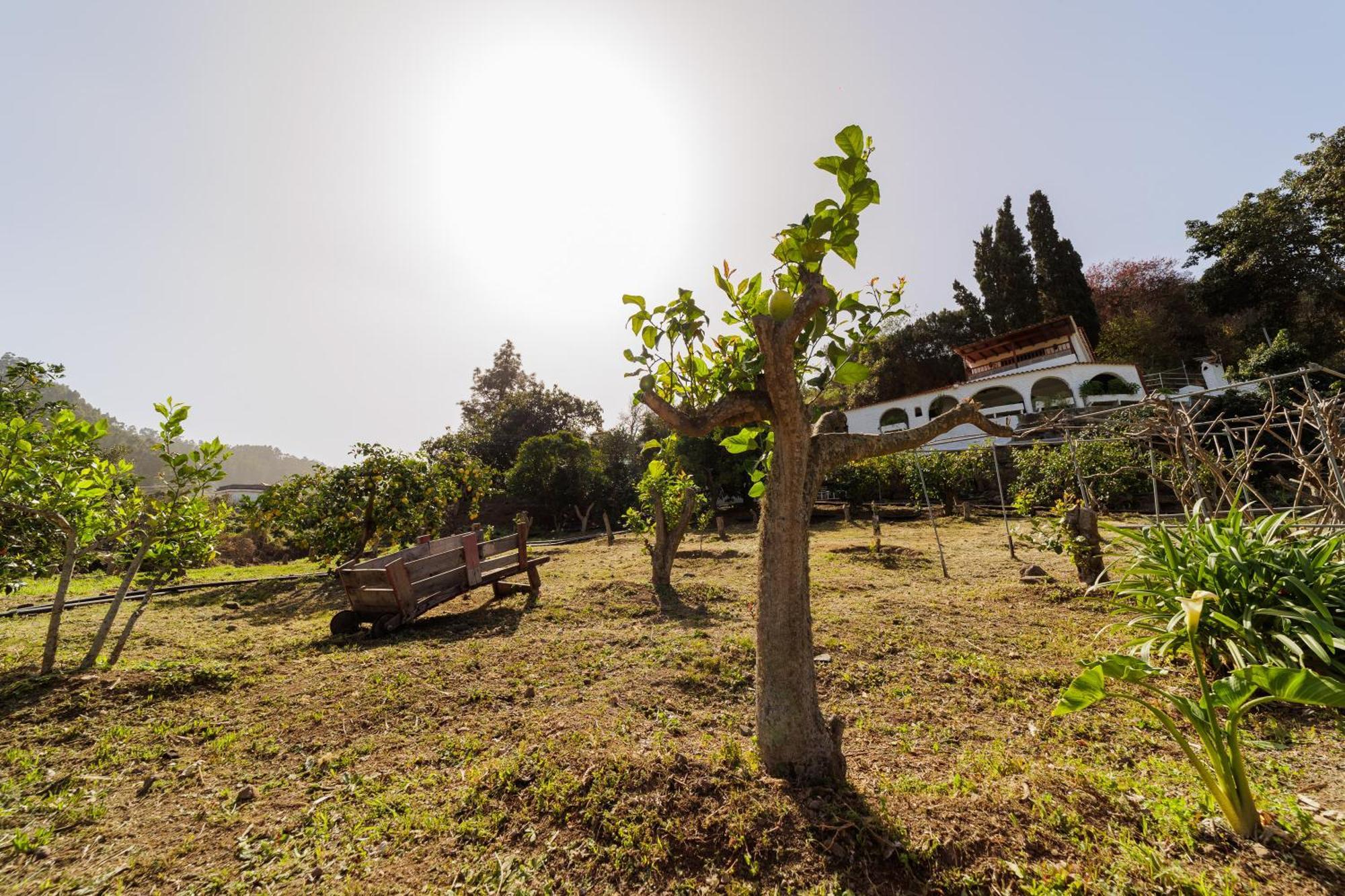 Finca Los Arcos Del Laurel Moya  Exterior photo