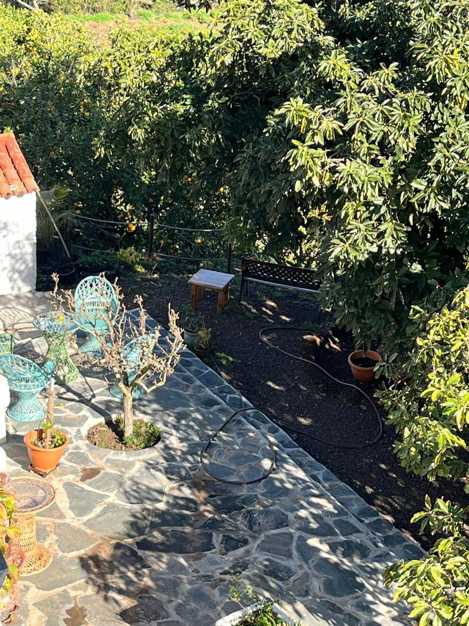 Finca Los Arcos Del Laurel Moya  Exterior photo